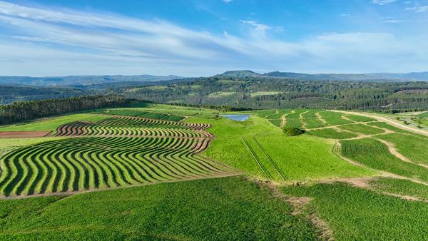 Farm For Sale in Mount Verde, Hilton